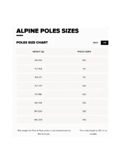 ATOMIC BATON AMT -Sports Aux Puces Blainville 4 74952