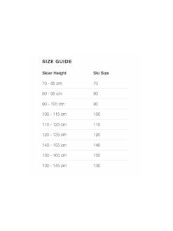 ELAN SKI MAXX 5 ELAN SKI MAXX -Sports Aux Puces Blainville f58179