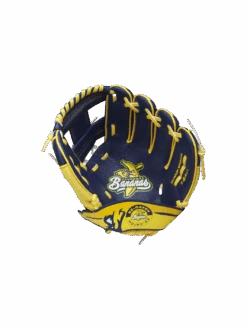 WILSON GANT A200 EZ CATCH 10'' 5 WILSON GANT A200 EZ CATCH 10'' -Sports Aux Puces Blainville f65040