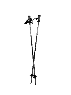 VAN BERGEN BATON SKI JR