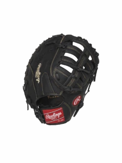 RAWLINGS GANT RENEGADE FIRST BASE