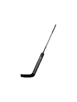 WARRIOR BATON GARDIEN V2 E+